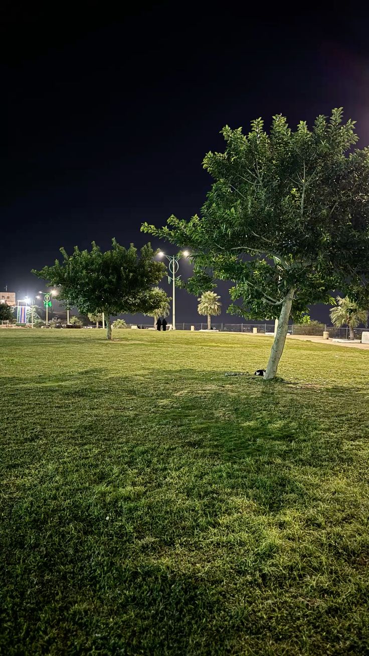 مشروع