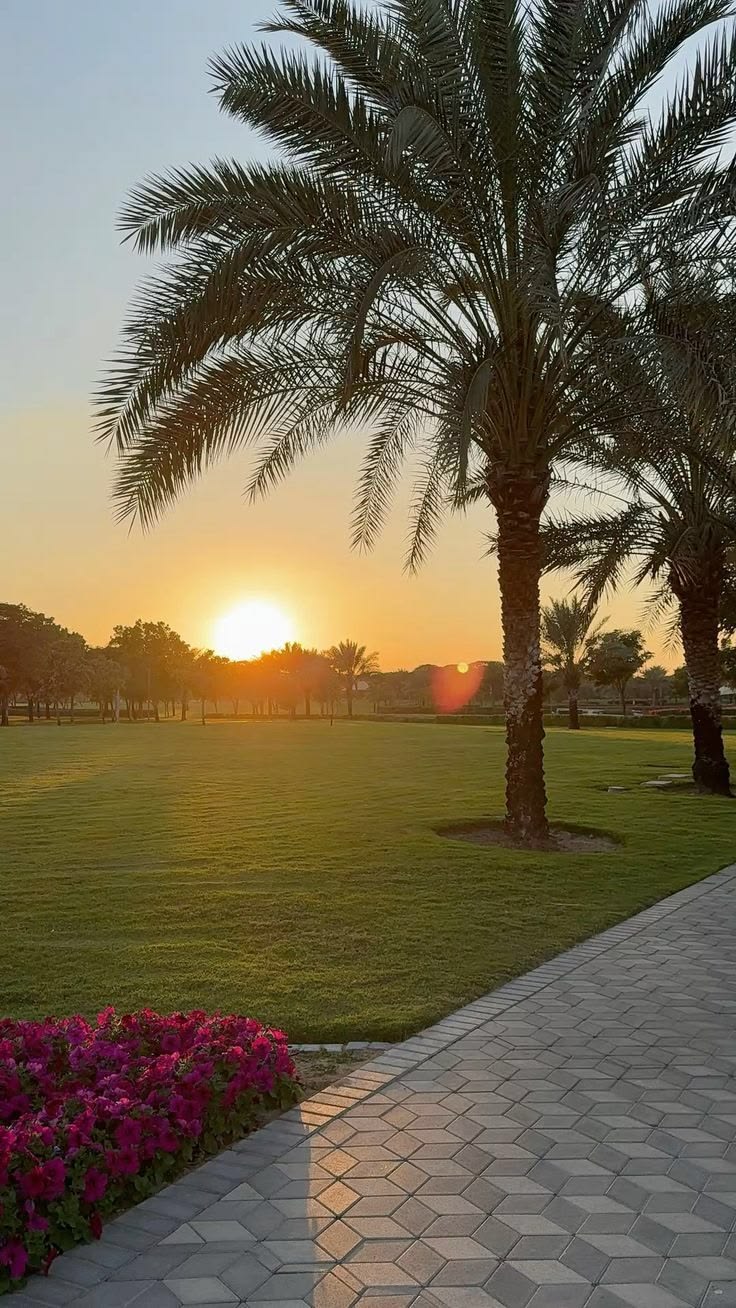 مشروع تشجير