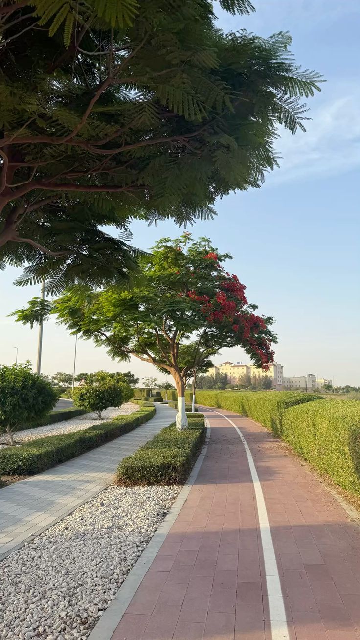 ممر مشاة