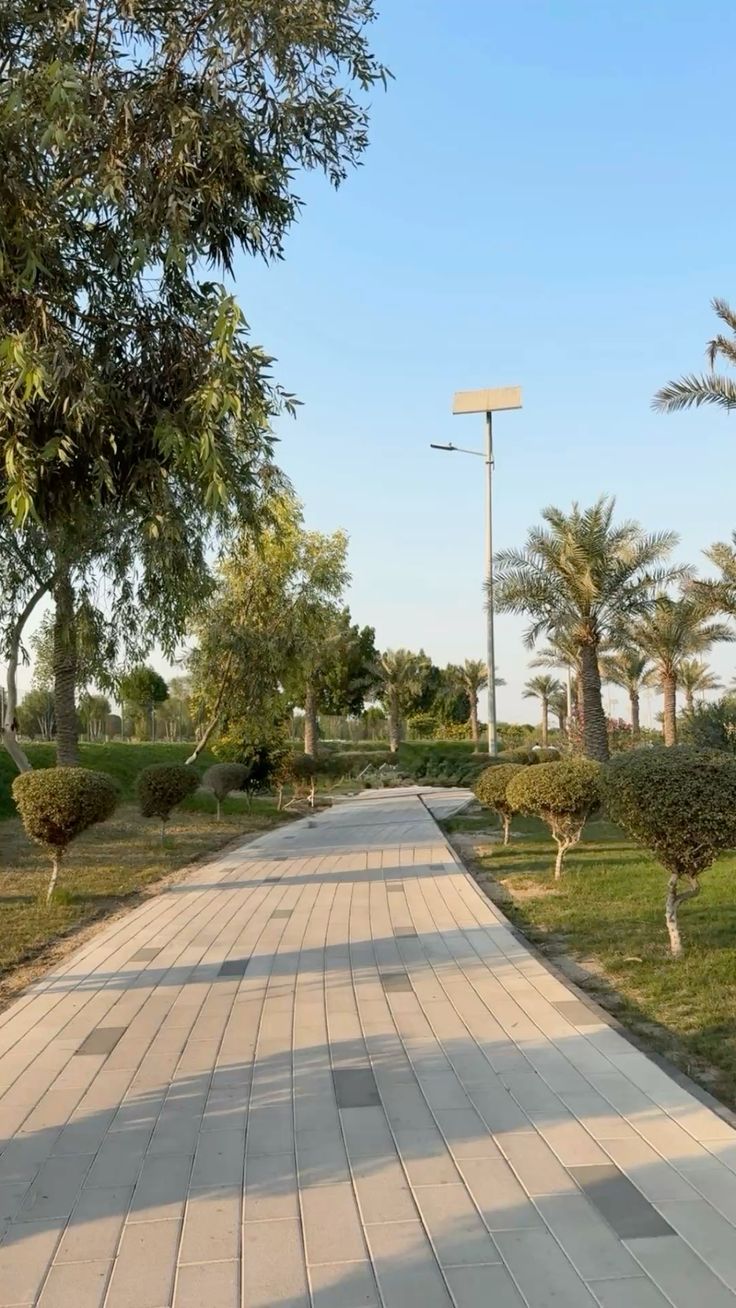 مشروع
