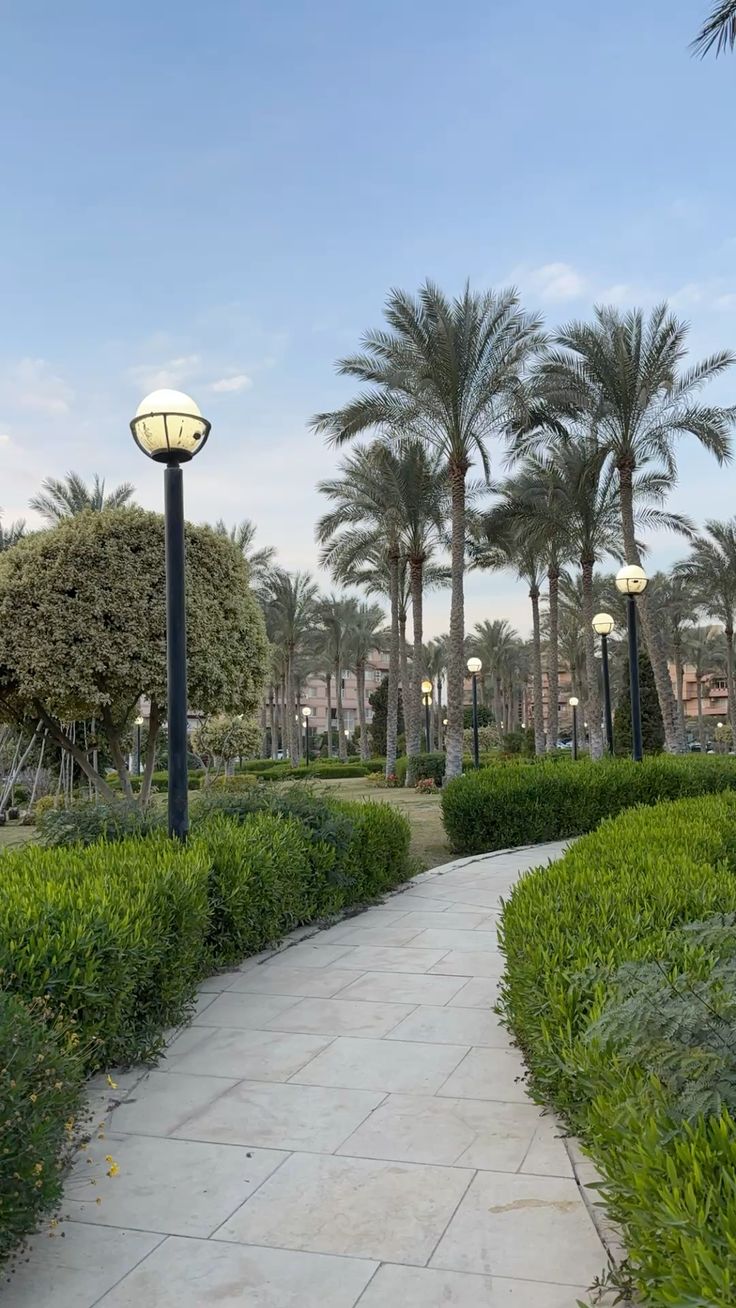 مشروع
