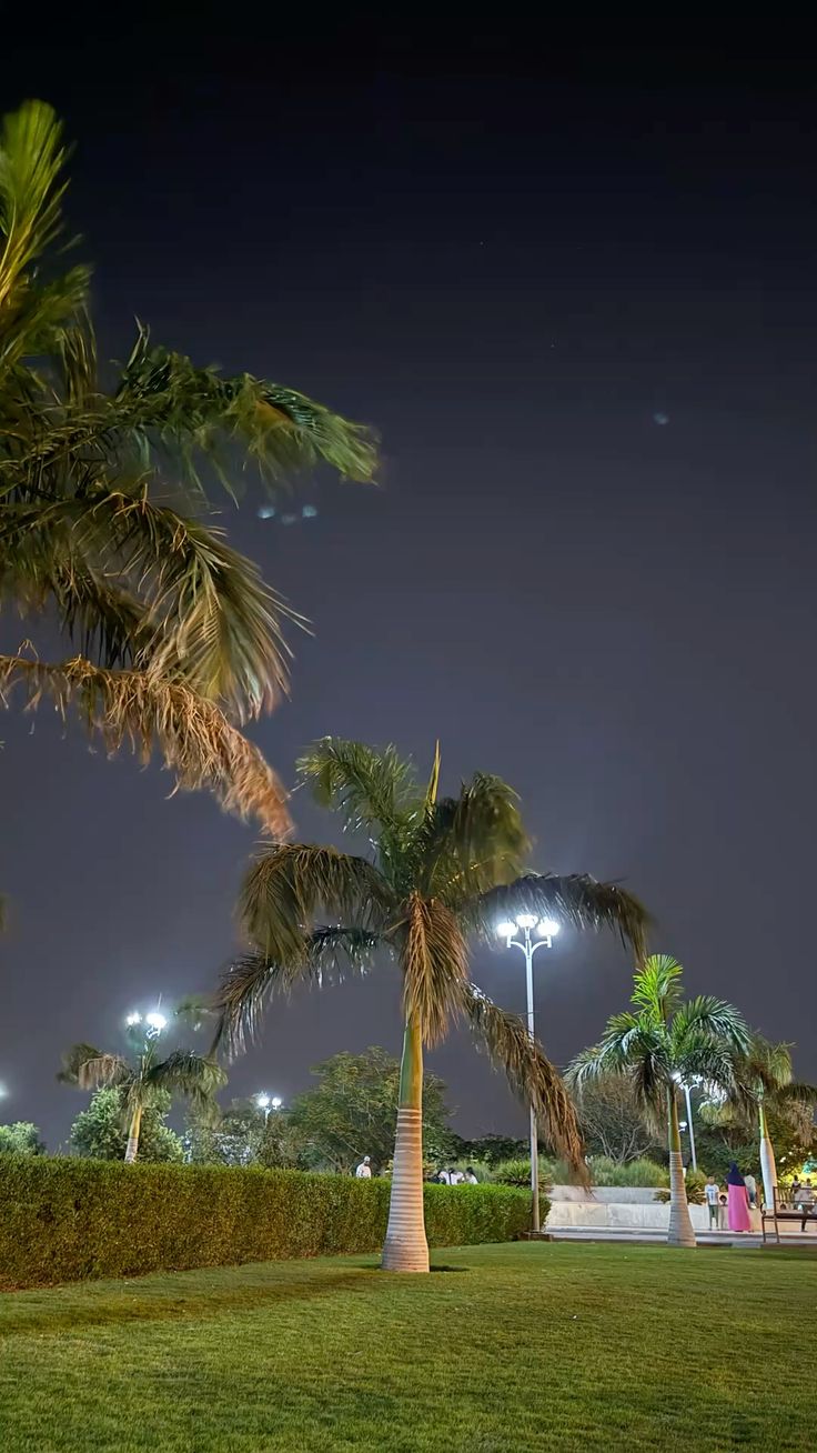 مشروع