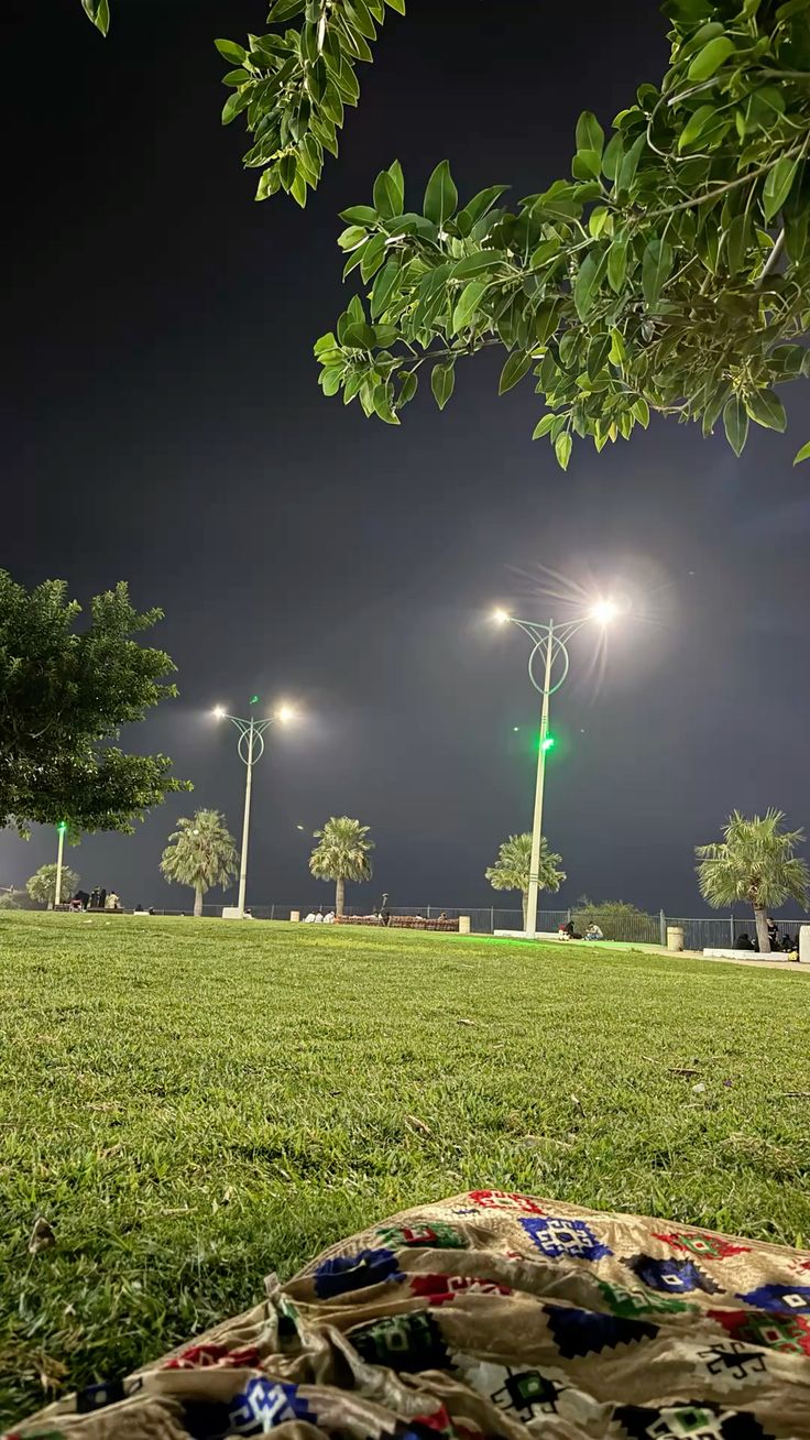 مشروع